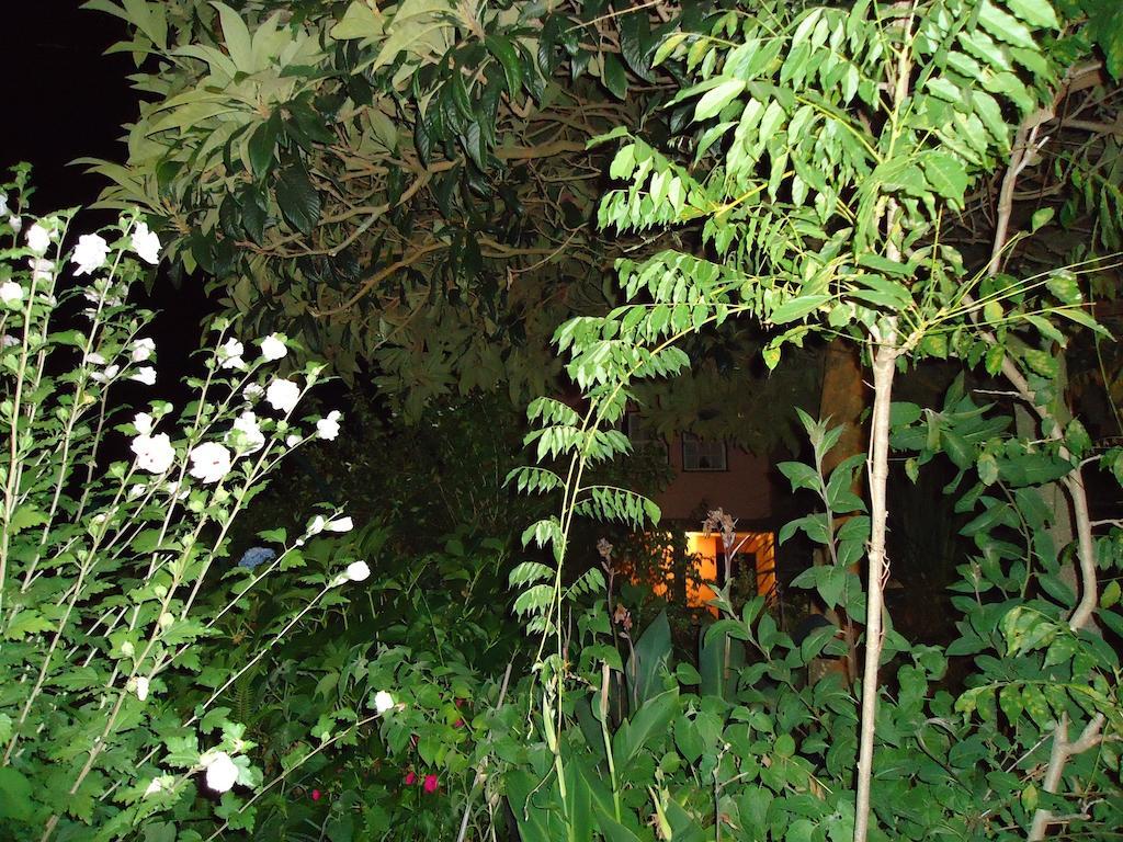منزل الضيف فيانا دو كاستيلو  في Quinta Do Vale Do Monte المظهر الخارجي الصورة
